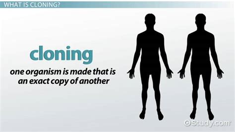 clone clothes meaning